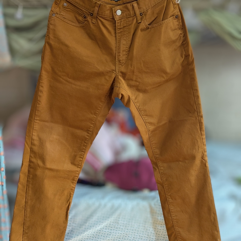 Lucky Brand Men's Brown Pants